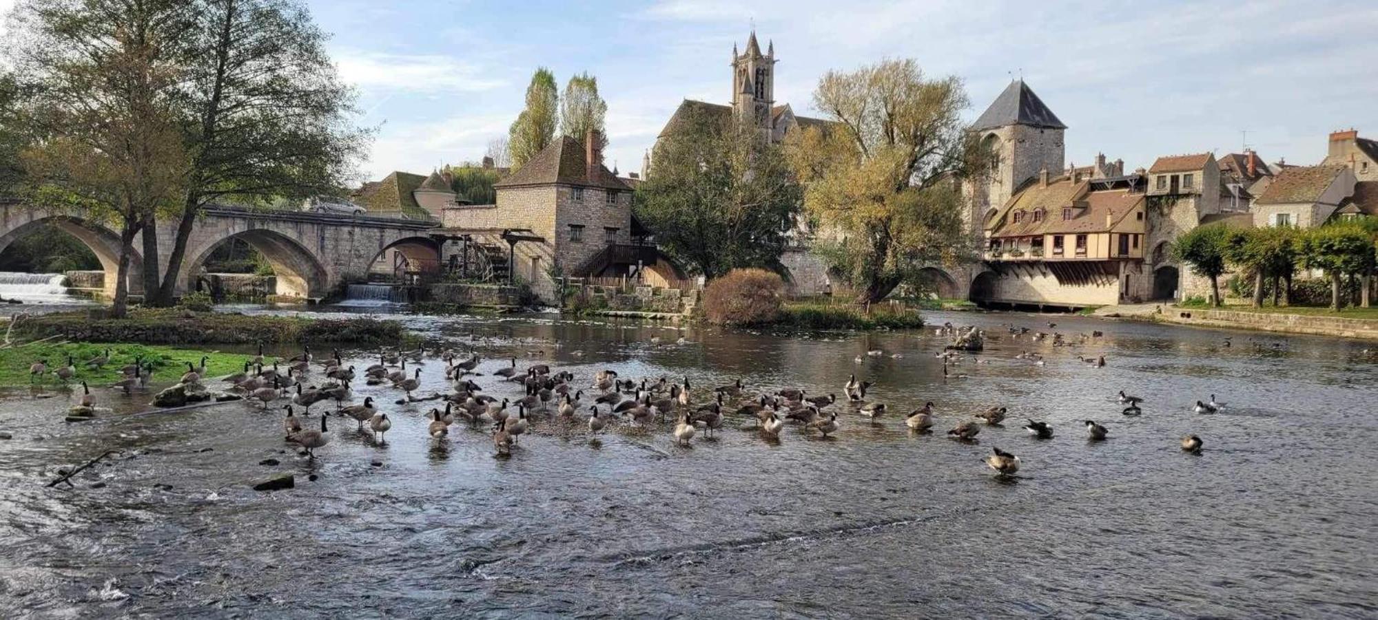 Detente A Sorques Montigny-sur-Loing Экстерьер фото